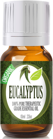 Eucalyptus