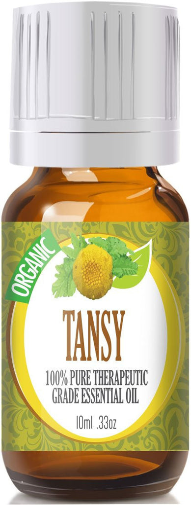 Tansy