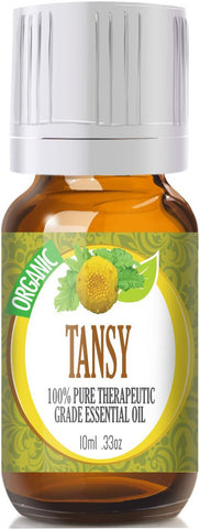 Tansy