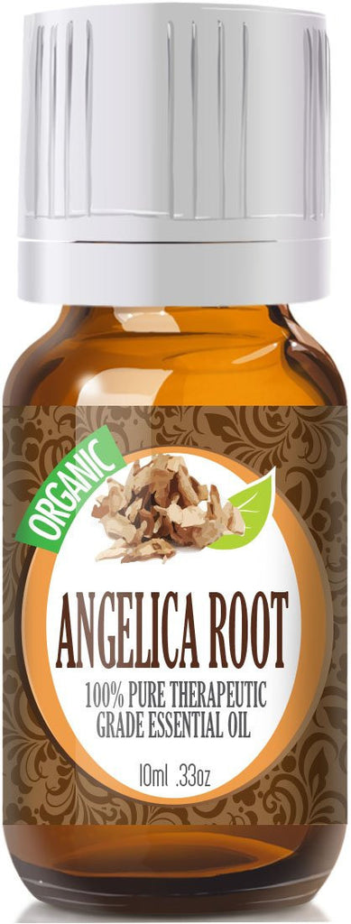 Angelica Root